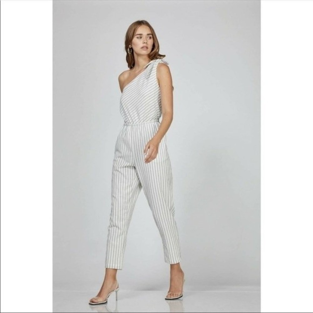 Greylin Charlie One Shoulder Jumpsuit XL Stripe